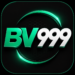 BV999 Game APK Download – Best Online Betting & Gaming Platform in Pakistan