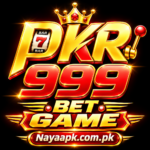 PKR999 BET Game APK Download Guide What to Check Before You Install